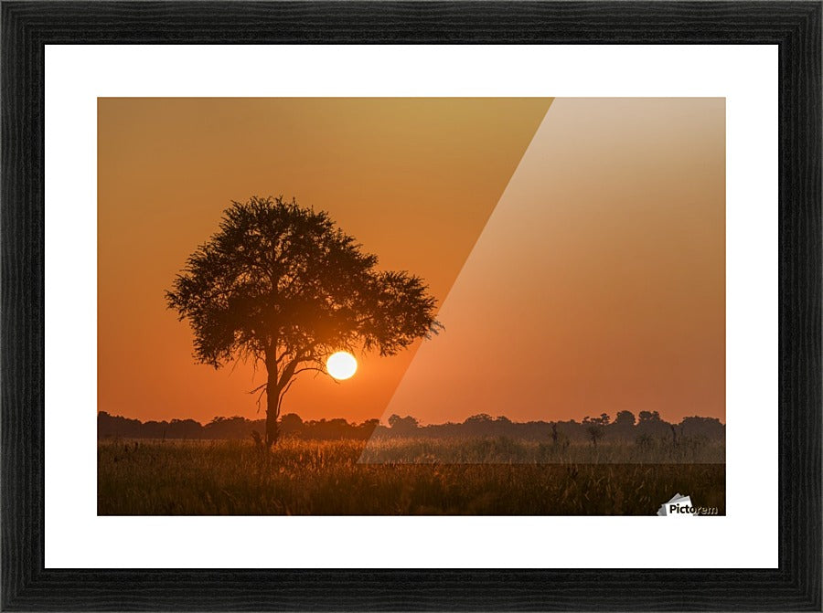 Sunset; Botswana