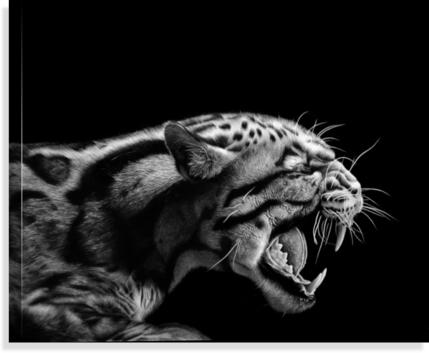 ANGER