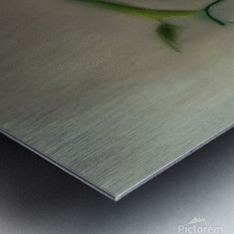 738646 :: Brushed Metal Print