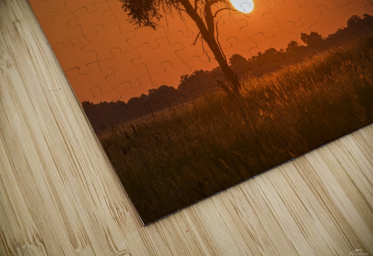 Sunset; Botswana