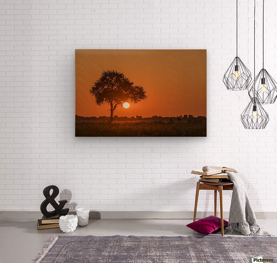 Sunset; Botswana