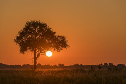 Sunset; Botswana