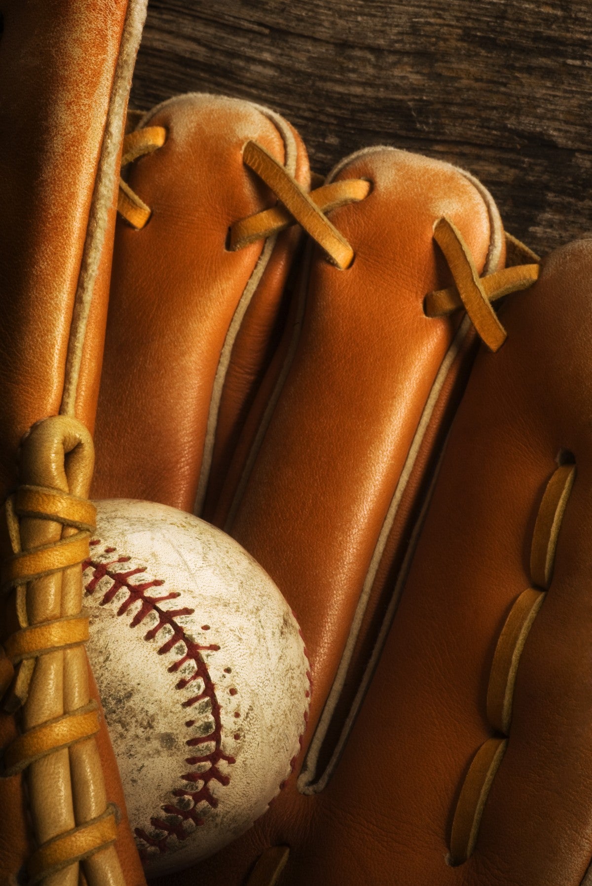 Love of Baseball
