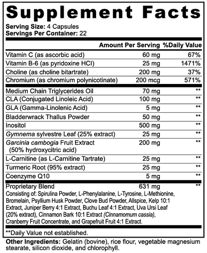 METABO BOOST – METABOLISM SUPPORT