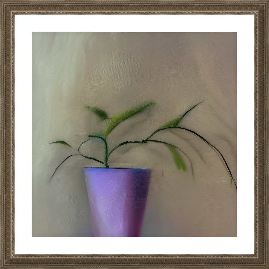 738646 :: Framed Print
