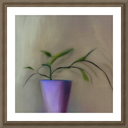 738646 :: Framed Print