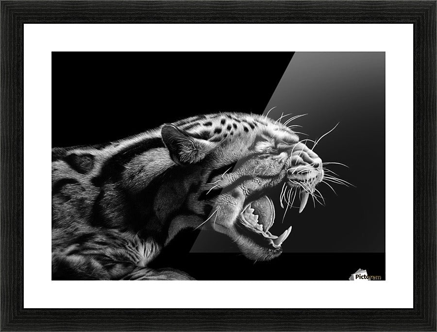 ANGER