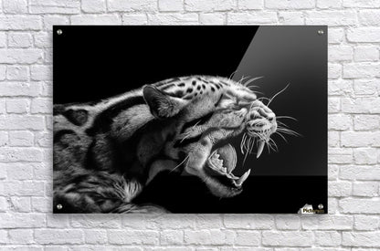 ANGER