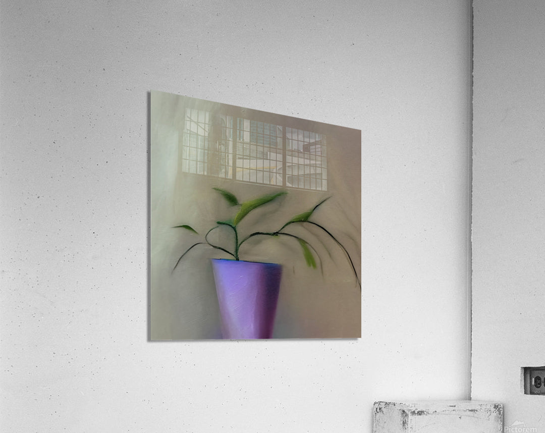 738646 :: Acrylic Print