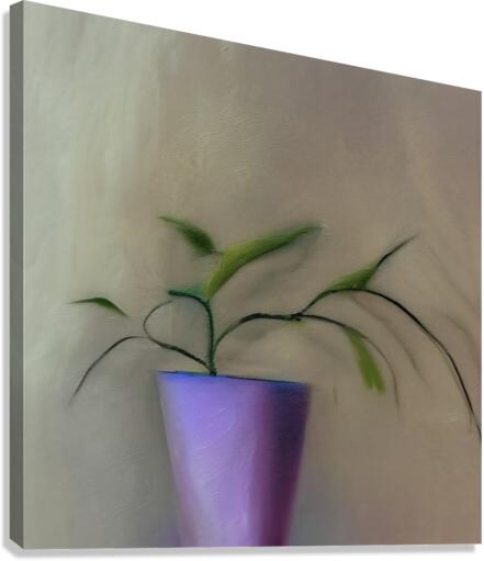 738646 :: Giclée Stretched Canvas Print