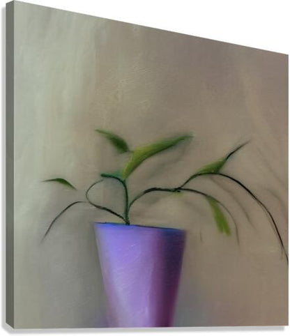 738646 :: Giclée Stretched Canvas Print