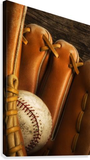 Love of Baseball