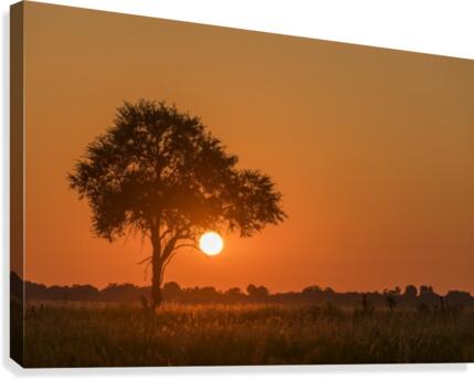 Sunset; Botswana