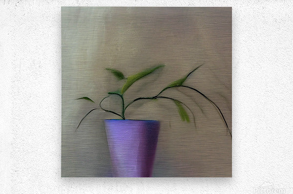 738646 :: Brushed Metal Print