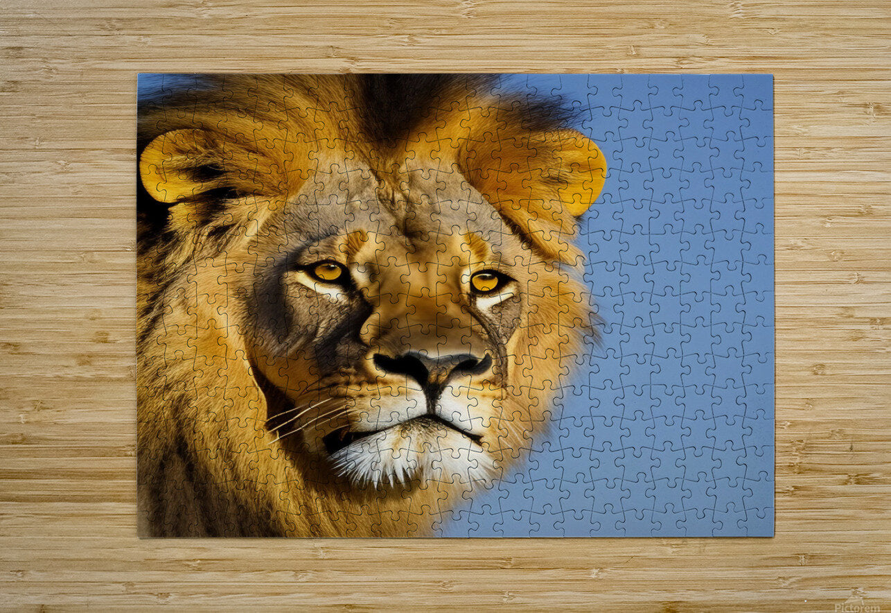 The King. Lion