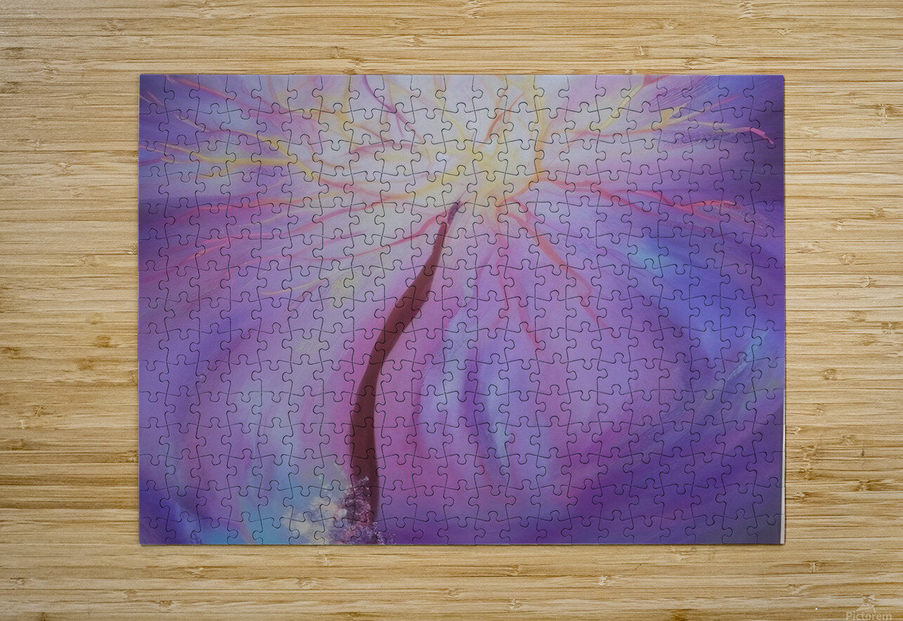 Twilight. Abstract.