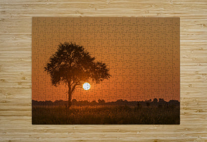 Sunset; Botswana