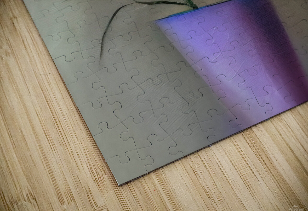 738646 :: Puzzle Print