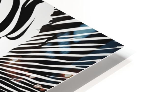 878699 :: HD Sublimation Metal Print