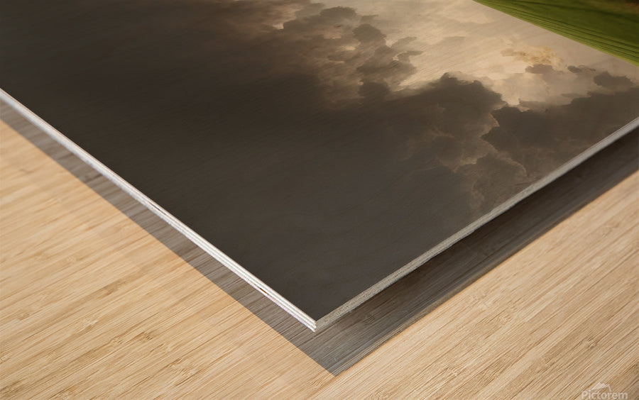 735957 :: Wood Print
