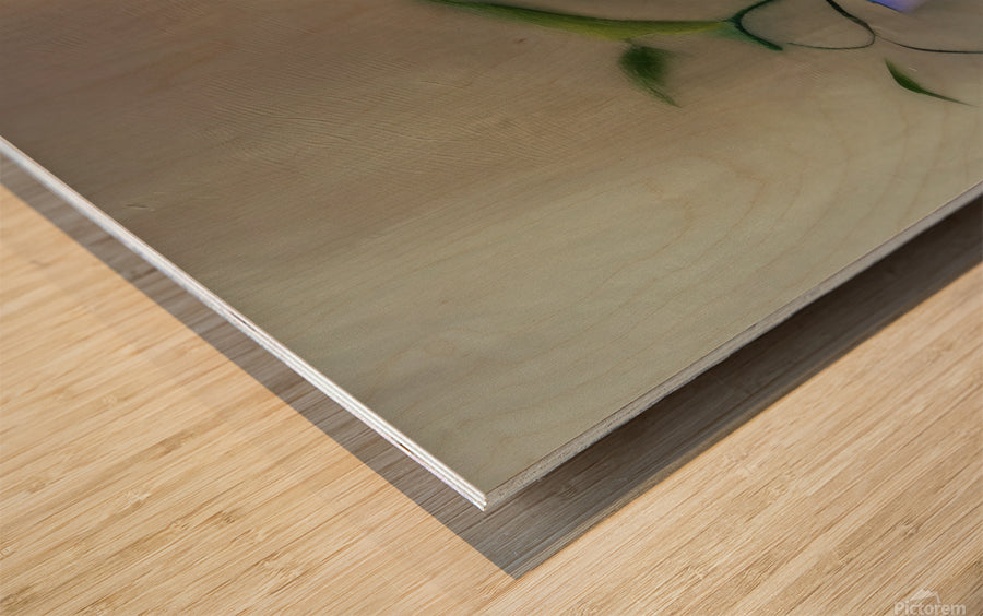 738646 :: Wood Print